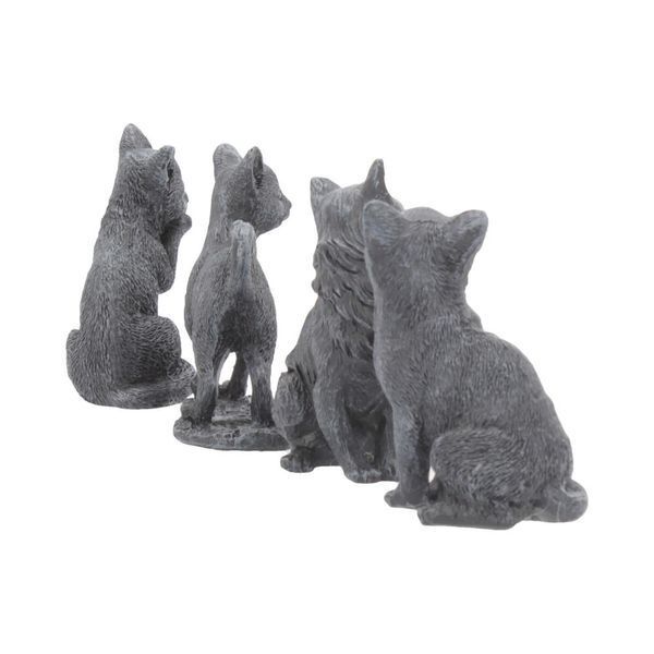 A black cat for good luck. The cat is washing itself.