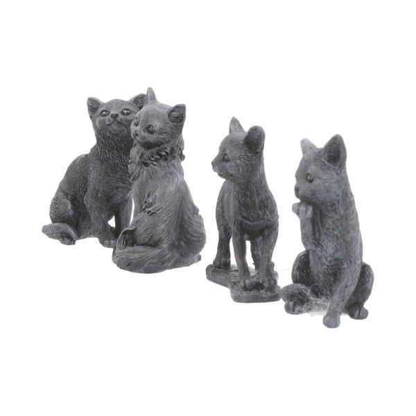 A black cat for good luck. The cat is washing itself.