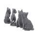 A black cat for good luck. The cat is washing itself.