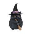 Black Cat for Good Luck