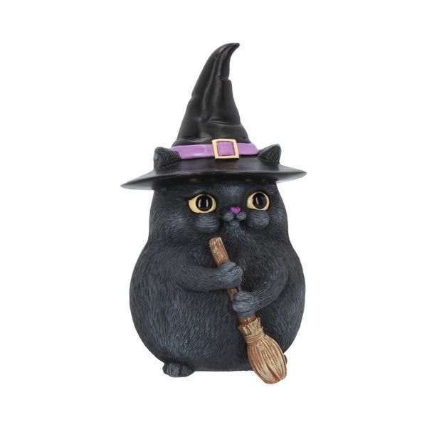 Black Cat for Good Luck