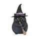 Black Cat for Good Luck