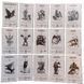 Occult Tarot