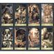 Таро Черный Гримуар Лавкрафт  / Dark Grimoire Lovecraft Tarot 03420 фото 7