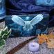 Wallet "Witch Owl"