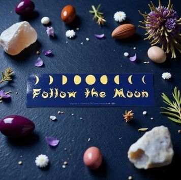 Наліпка "Follow the Moon" 09547 фото