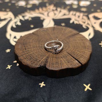 Ring with Snakes "Harmony"