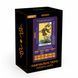Learning Rider&ndash;Waite Tarot