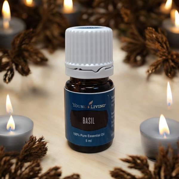Эфирное масло Базилик / Basil 5ml 06384 фото Эфирное масло Базилик / Basil 5ml 06384 фото