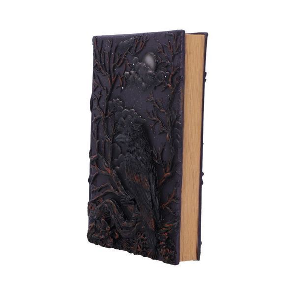 Notebook "Raven Grimoire"