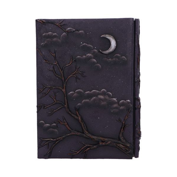 Notebook "Raven Grimoire"