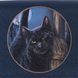 Wallet "Kitten with a Broom"