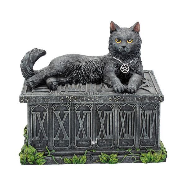 The Guardian Cat Box