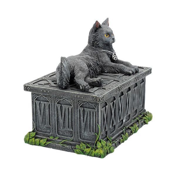 The Guardian Cat Box
