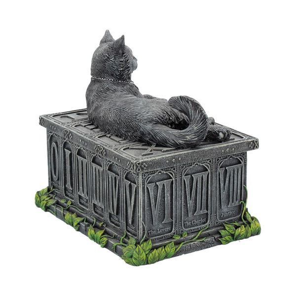The Guardian Cat Box