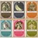 Оракул "Магические карты заклинаний / Magickal Spellcards" 06844 фото 4