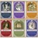 Оракул "Магические карты заклинаний / Magickal Spellcards" 06844 фото 2