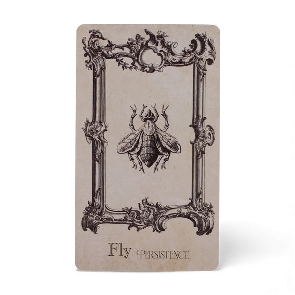 Оракул "Книга заклинань / The Spellbook Oracle Cards" 08501 фото