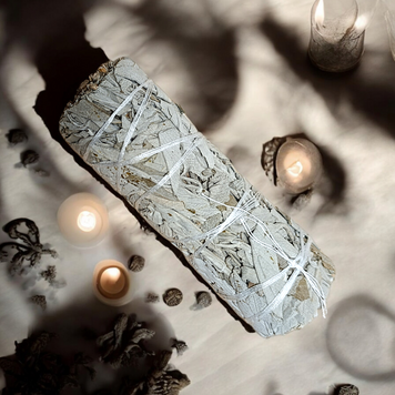 Біла Шавлія White Sage. Велика 01613 фото