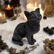 A black cat for good luck. The cat is sitting 1