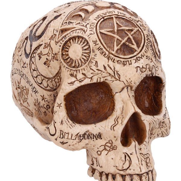 Череп с магическими символами 09933 фото