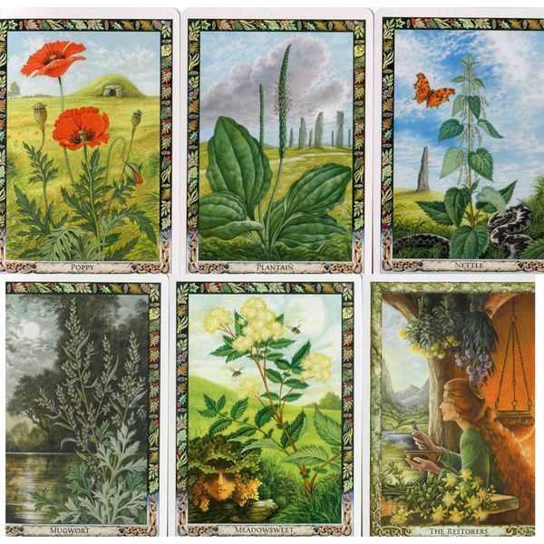 Оракул Рослин Друїдів з книгою / Cards & Book Set: The Druid Plant Oracle 06868 фото