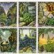 Оракул Рослин Друїдів з книгою / Cards & Book Set: The Druid Plant Oracle 06868 фото 3