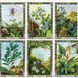 Оракул Рослин Друїдів з книгою / Cards & Book Set: The Druid Plant Oracle 06868 фото 4